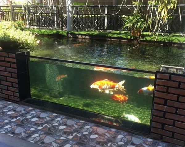 ho-ca-koi-mini-bang-kinh-04-san-vuon-a-dong-600x477