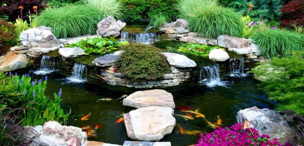 Ho-ca-koi-mini-san-vuon-tao-nen-nhieu-an-tuong-cho-khach-hang-1-1024x493