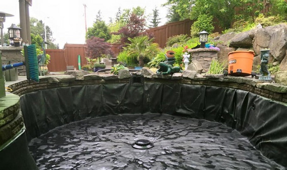 quy-trinh-cai-tao-ho-ca-koi