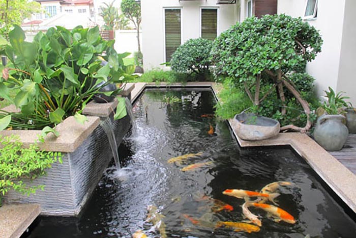 tieu-canh-xung-quanh-ho-ca-cung-can-phai-duoc-chu-y-4-san-vuon-a-dong