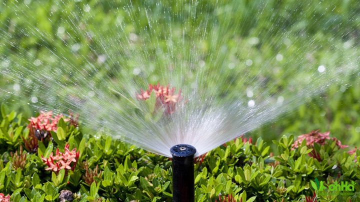 Cung Cấp Và Lắp Đặt Hệ Thống Tưới Cây Tự Động. Tưới Nhỏ Giọt, Phun Suơng, Phun Mưa, Tưới Cảnh Quan, Tưới Nông Nghiệp