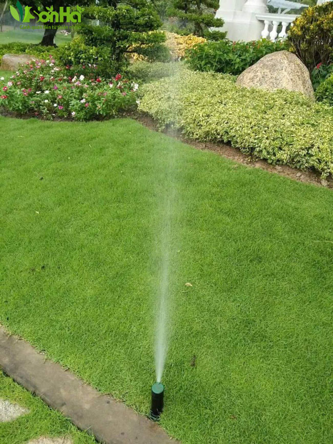 tuoi-tu-dong-canh-quan