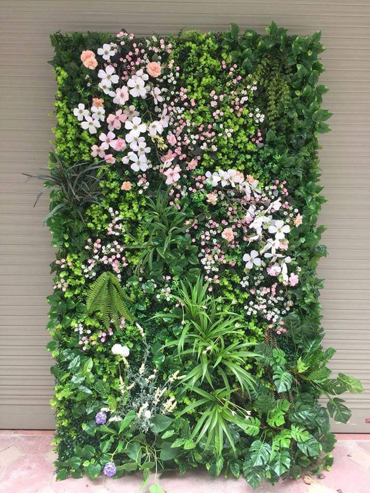 FB_IMG_1538394049827