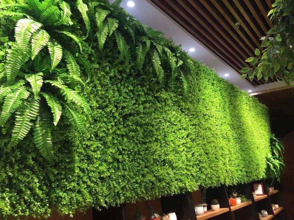 thi công tường cây giả tại nhà (5)