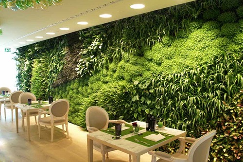 thiết kế thi công vườn tường đứng cây thật trong không gian rộng và hẹp (5)